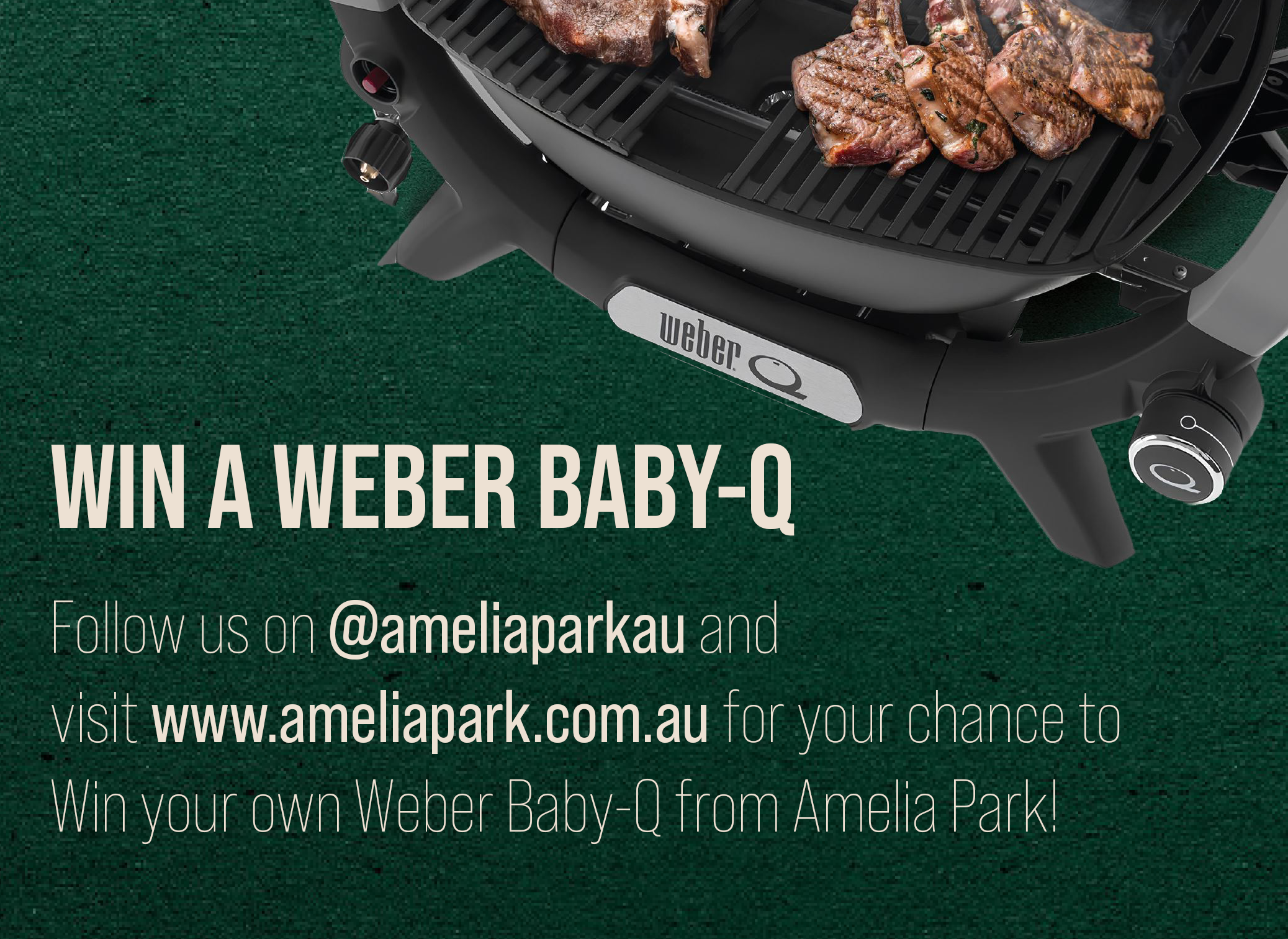 Win A Weber Baby Q